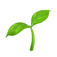Vegan