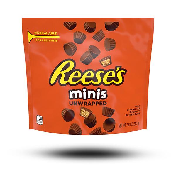 Süßigkeiten aus aller Welt, amerikanische Süßigkeiten, internationale Süßigkeiten, Süßigkeiten bestellen, Sweets online, Schokolade aus aller Welt, American Sweets, Reeses Mini Cups Stand Up Bag 2